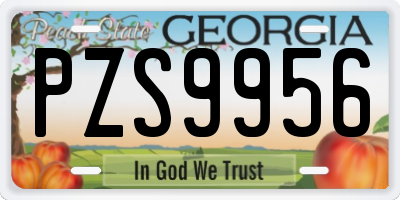 GA license plate PZS9956