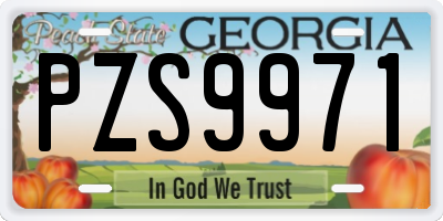 GA license plate PZS9971