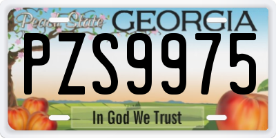GA license plate PZS9975