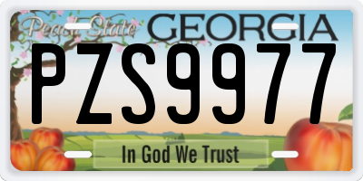 GA license plate PZS9977