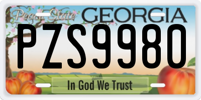 GA license plate PZS9980
