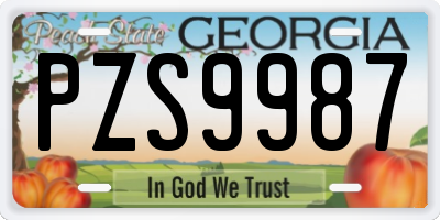 GA license plate PZS9987
