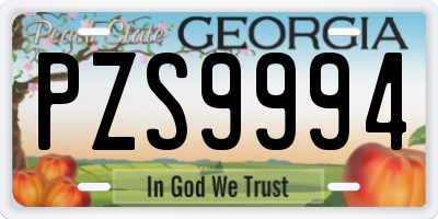 GA license plate PZS9994