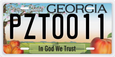 GA license plate PZT0011