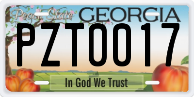 GA license plate PZT0017