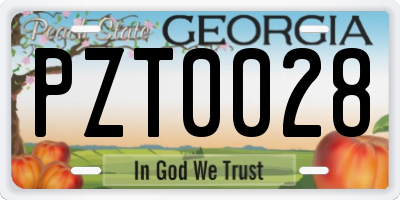 GA license plate PZT0028