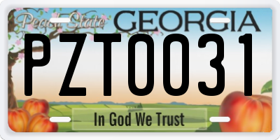 GA license plate PZT0031