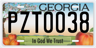 GA license plate PZT0038