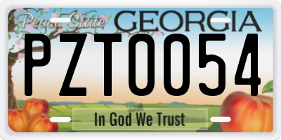 GA license plate PZT0054