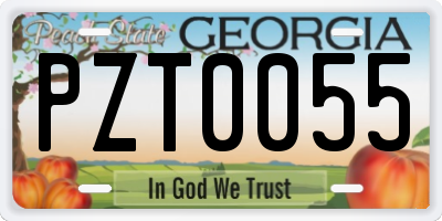 GA license plate PZT0055