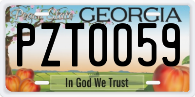 GA license plate PZT0059