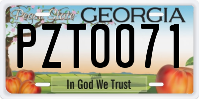 GA license plate PZT0071