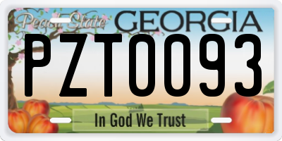 GA license plate PZT0093