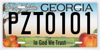 GA license plate PZT0101