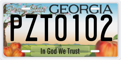 GA license plate PZT0102