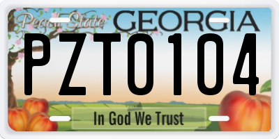 GA license plate PZT0104