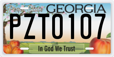 GA license plate PZT0107