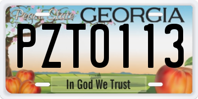 GA license plate PZT0113