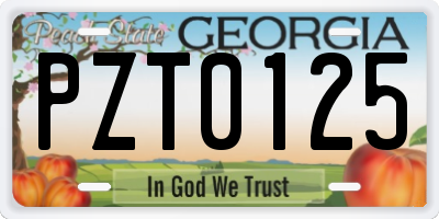 GA license plate PZT0125