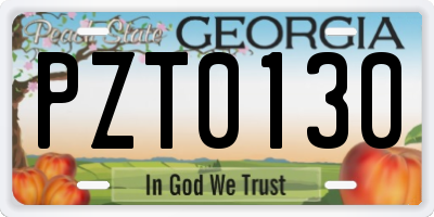 GA license plate PZT0130