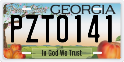 GA license plate PZT0141