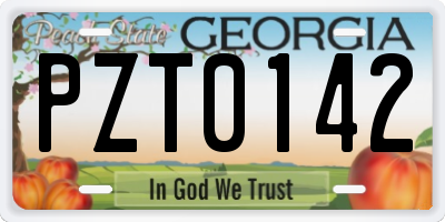 GA license plate PZT0142