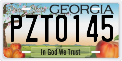 GA license plate PZT0145