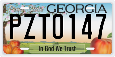 GA license plate PZT0147