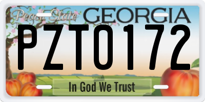 GA license plate PZT0172