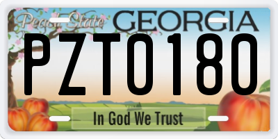 GA license plate PZT0180