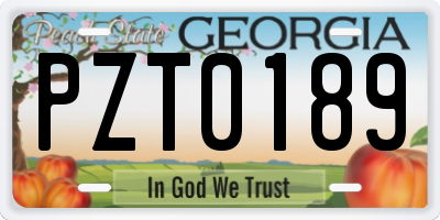 GA license plate PZT0189