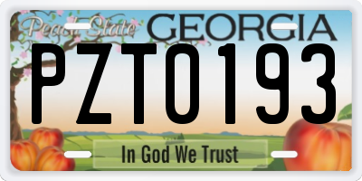 GA license plate PZT0193