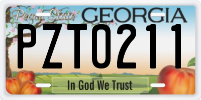 GA license plate PZT0211