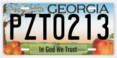 GA license plate PZT0213