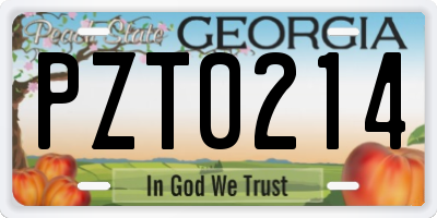 GA license plate PZT0214