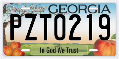 GA license plate PZT0219