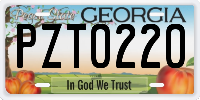 GA license plate PZT0220