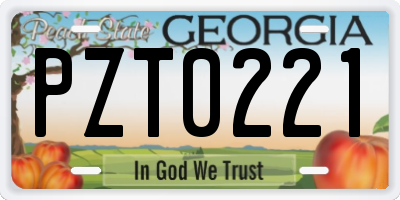 GA license plate PZT0221