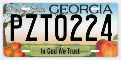 GA license plate PZT0224