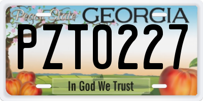 GA license plate PZT0227
