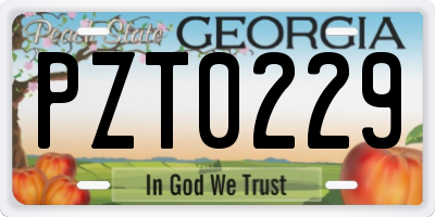 GA license plate PZT0229
