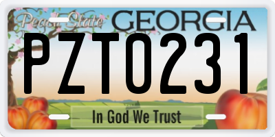 GA license plate PZT0231