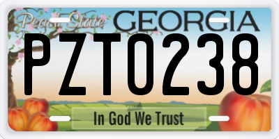GA license plate PZT0238
