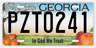 GA license plate PZT0241