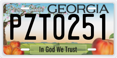 GA license plate PZT0251