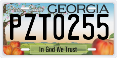 GA license plate PZT0255