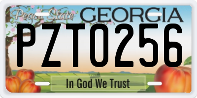GA license plate PZT0256