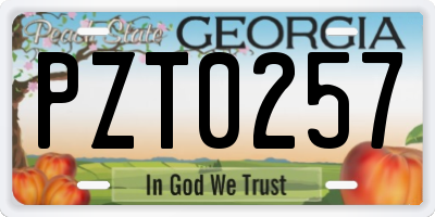 GA license plate PZT0257