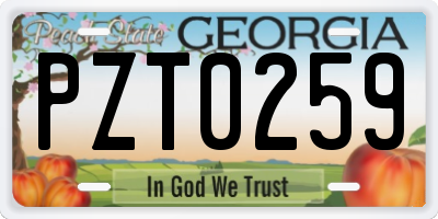 GA license plate PZT0259