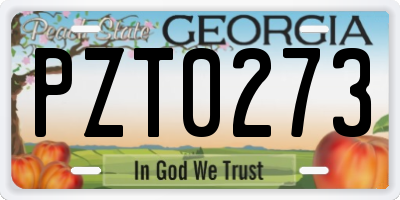 GA license plate PZT0273